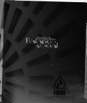 Balanço social e o relatório da sustentabilidade.